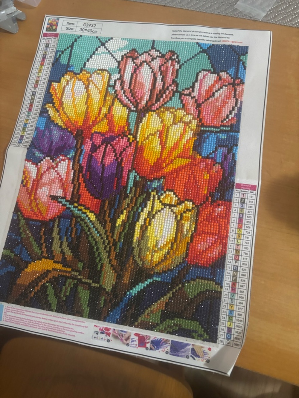 Colorful Tulip Diamond Painting Canvas